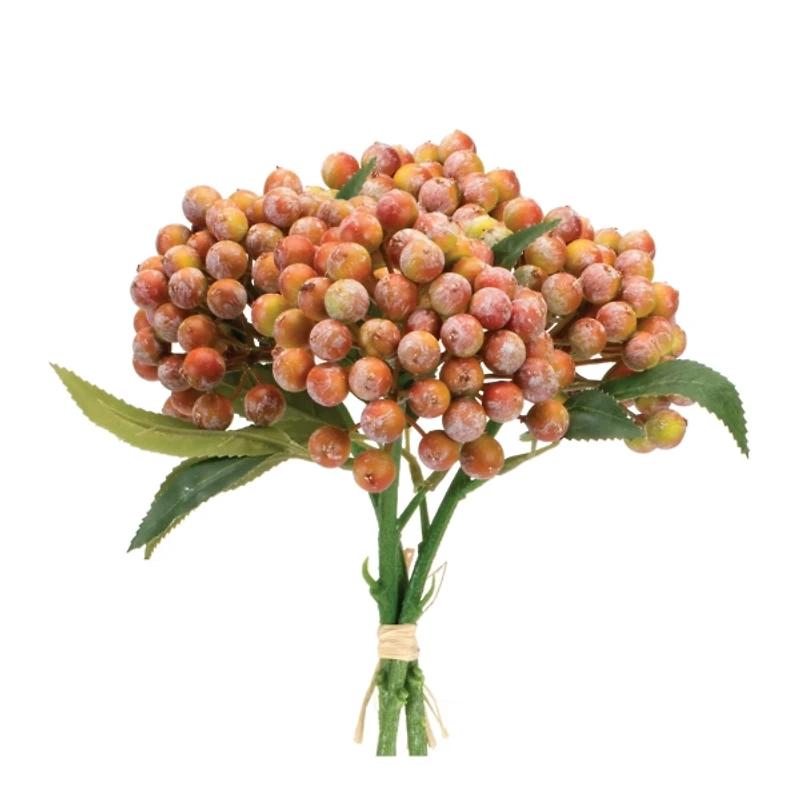 Orange Berry Bundles, Set of 2