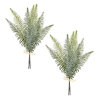 Fern Foliage Bundles, Set of 2