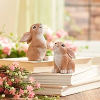 Woodland Bunny Figurines, Set of 4