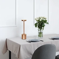 Metal Magic Disc Cordless Lamp