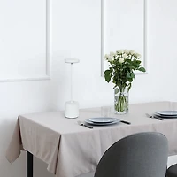 White Metal Magic Disc Cordless Lamp