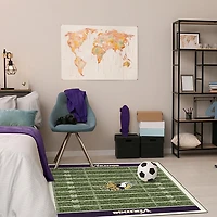 Minnesota Vikings Homefield Area Rug, 4x6
