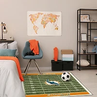 Miami Dolphins Homefield Area Rug, 4x6