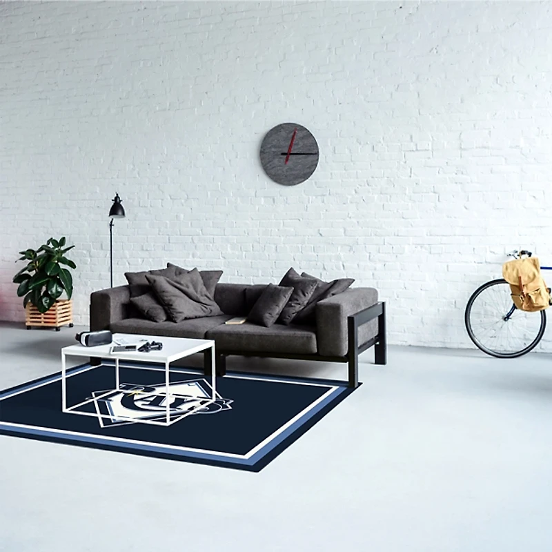 Tampa Bay Devil Rays MLB Spirit Rug, 4x5