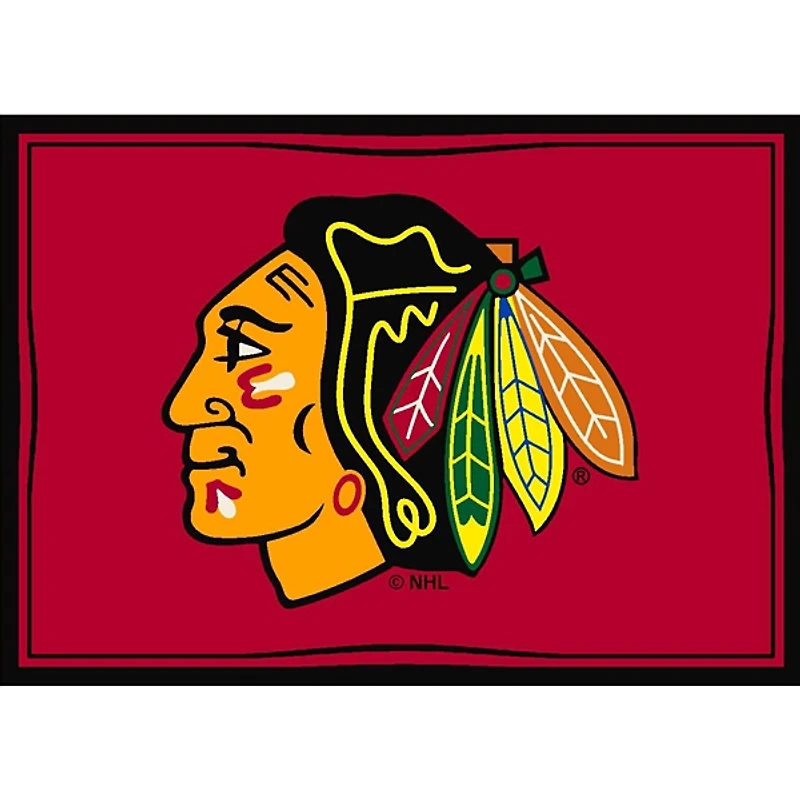 Chicago Blackhawks Area Rug, 4x6