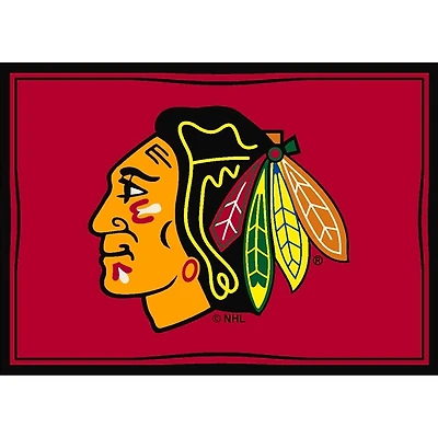 Chicago Blackhawks Area Rug, 4x6