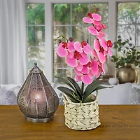 Pink Orchid Arrangement in Woven Basket