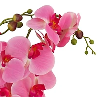 Pink Orchid Arrangement in Wooden Box