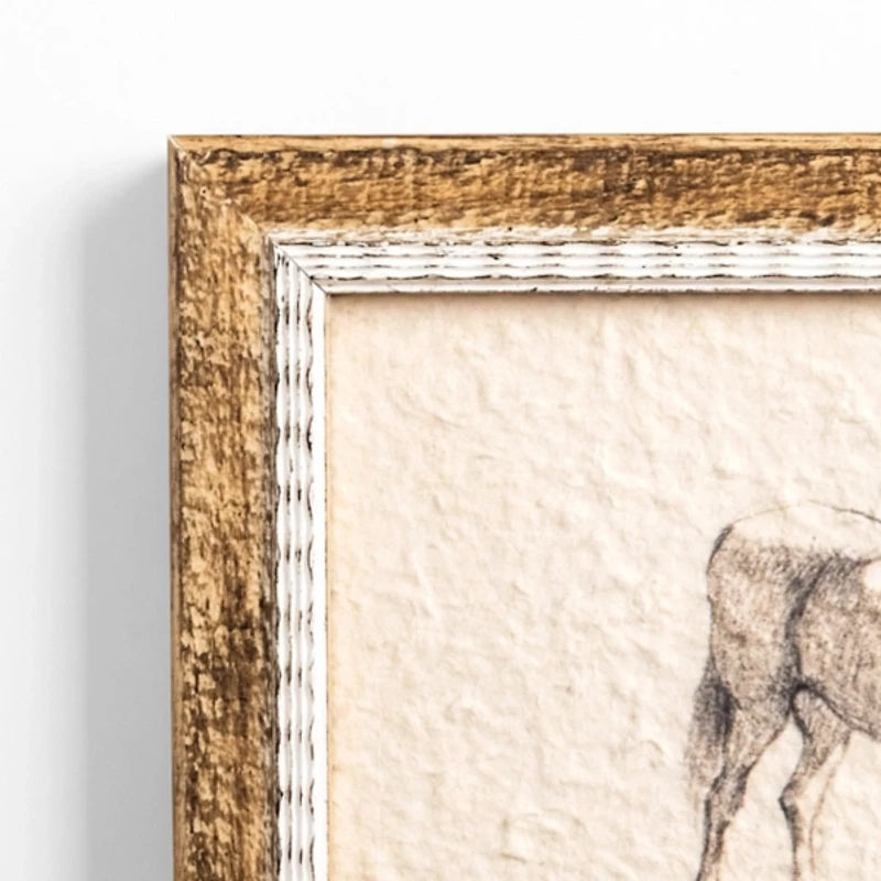 Antique Horse Sketch Framed Art Print