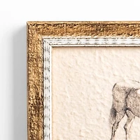 Antique Horse Sketch Framed Art Print