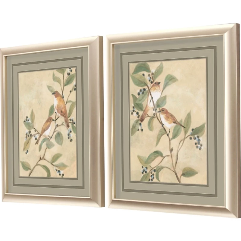 Fresco Songbirds 2-pc. Framed Art Print Set