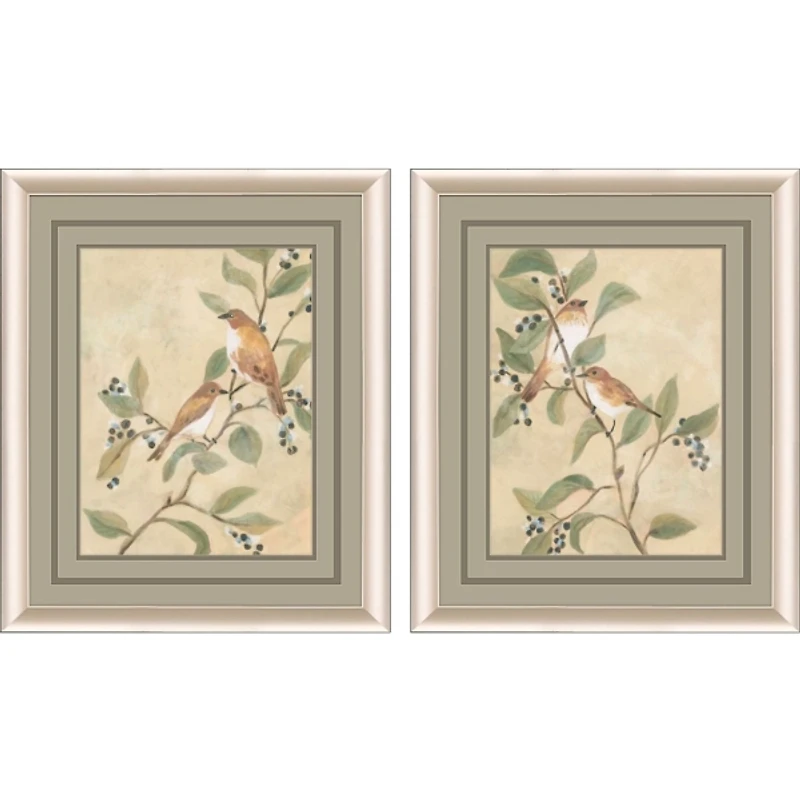 Fresco Songbirds 2-pc. Framed Art Print Set