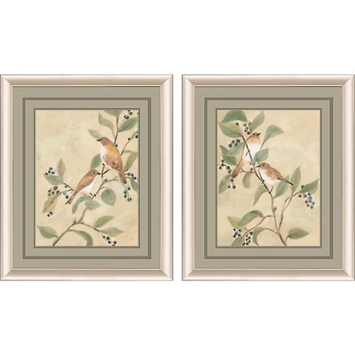 Fresco Songbirds 2-pc. Framed Art Print Set