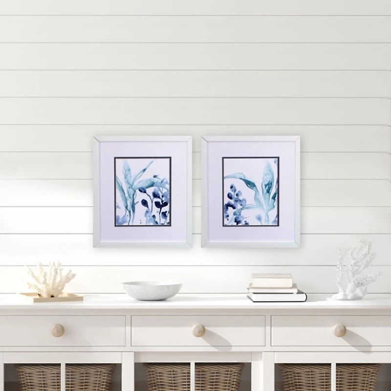 Blue Kelp Framed Art Prints, Set of 2