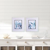 Blue Kelp Framed Art Prints, Set of 2