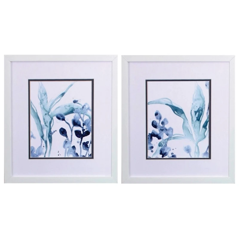 Blue Kelp Framed Art Prints, Set of 2