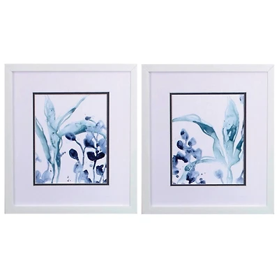 Blue Kelp Framed Art Prints, Set of 2