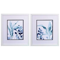 Blue Kelp Framed Art Prints, Set of 2