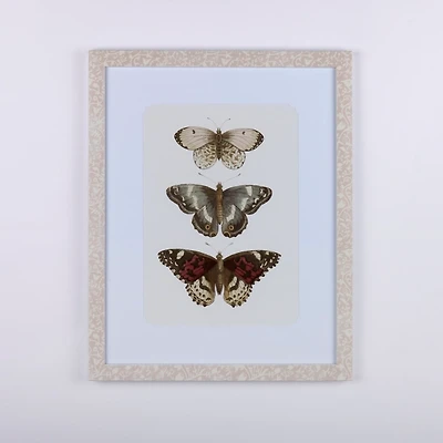 Triple Butterfly Framed Art Print