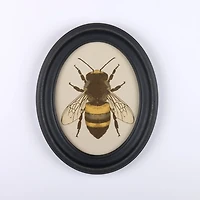 Oval Rustic Bee Framed Art Print