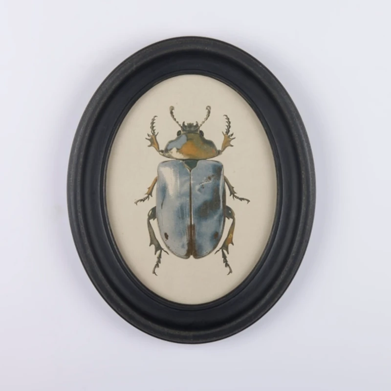 Oval Rustic Beetle Framed Art Print