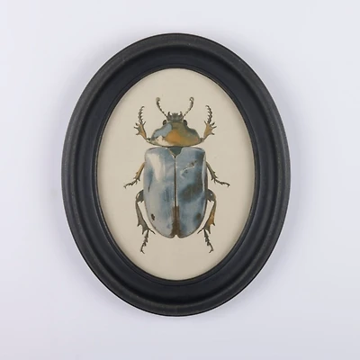 Oval Rustic Beetle Framed Art Print