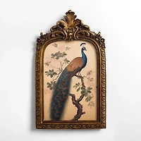 Regal Peacock on Tree Framed Art Print