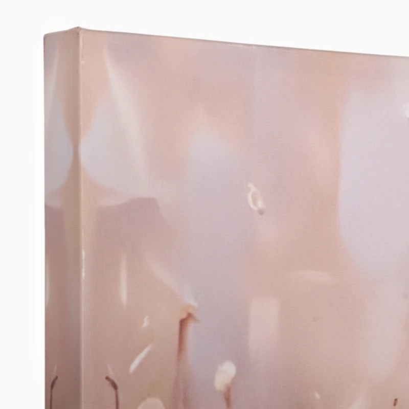 Highland Cow in Daisy Field Canvas Art Print