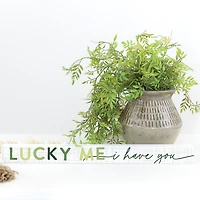 Clover Sign & Talking Stick 2-pc. Gift Set