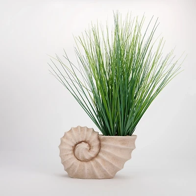 Green Grass Arrangement in Conch Pot