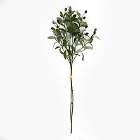 Black Olive Branch Bouquet