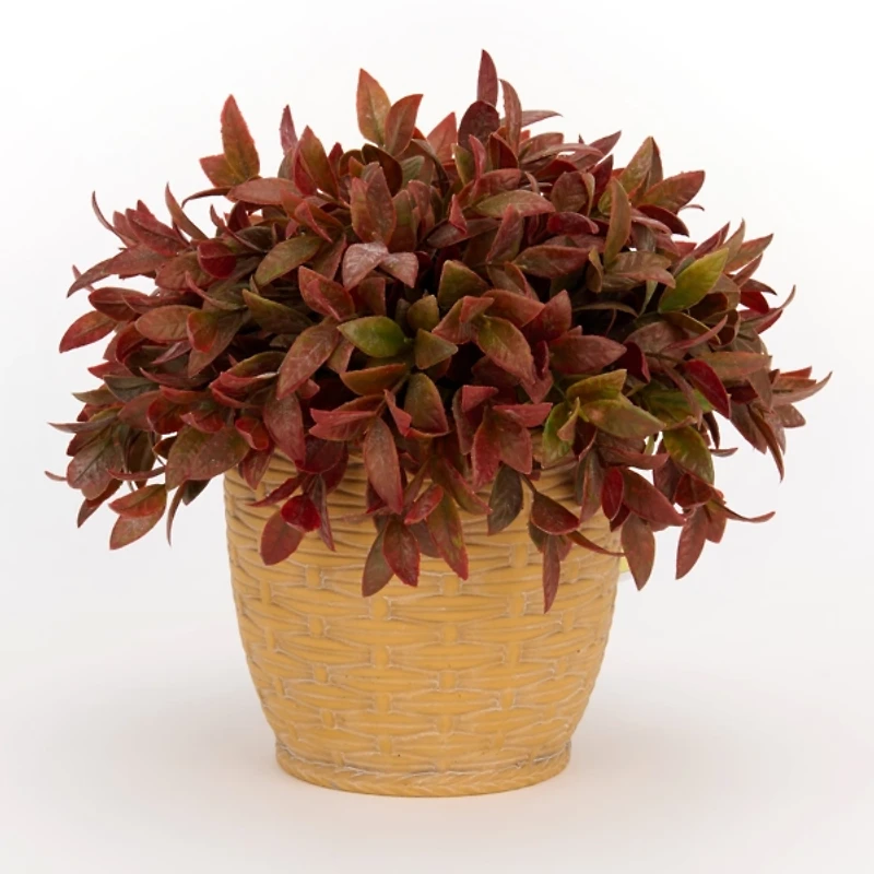 Antique Eucalyptus Arrangement in Porcelain Basket