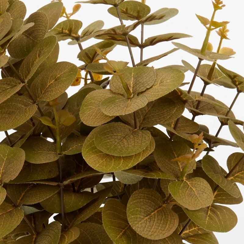 Eucalyptus Arrangement in Antique Vase