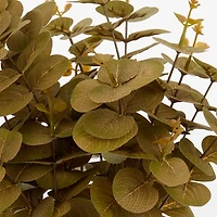 Eucalyptus Arrangement in Antique Vase