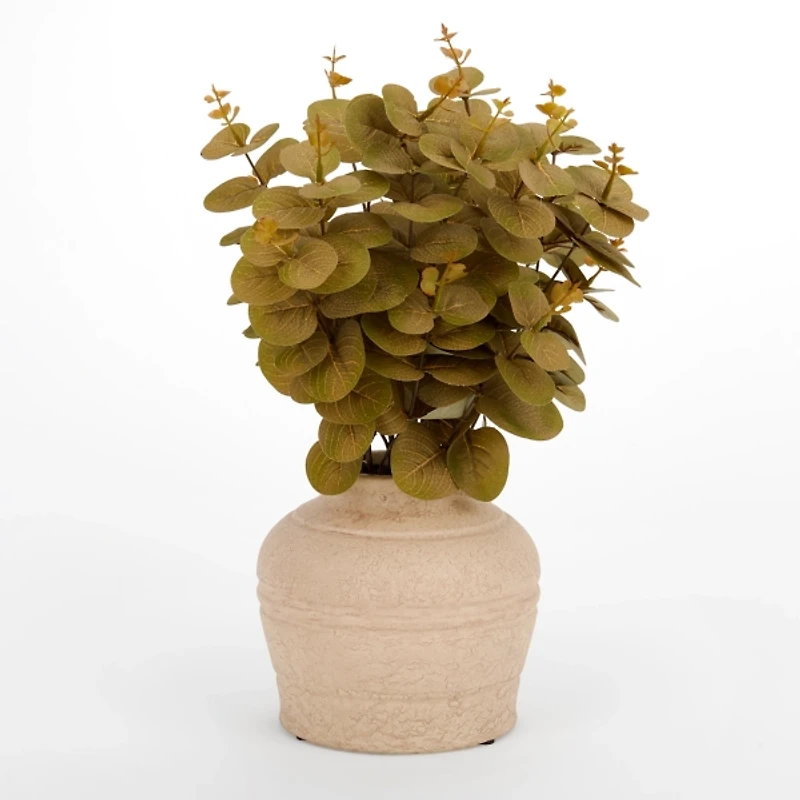 Eucalyptus Arrangement in Antique Vase