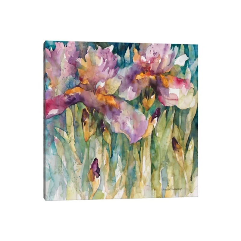 Siberian Iris Canvas Art Print