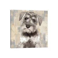 Miniature Schnauzer Portrait Canvas Art Print