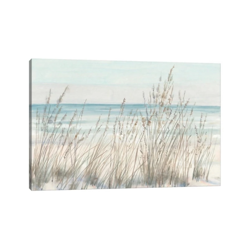 Beach Grass Canvas Art Print