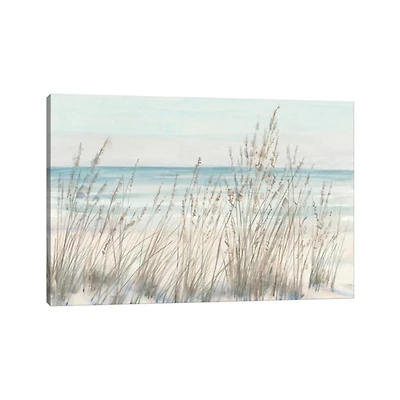 Beach Grass Canvas Art Print