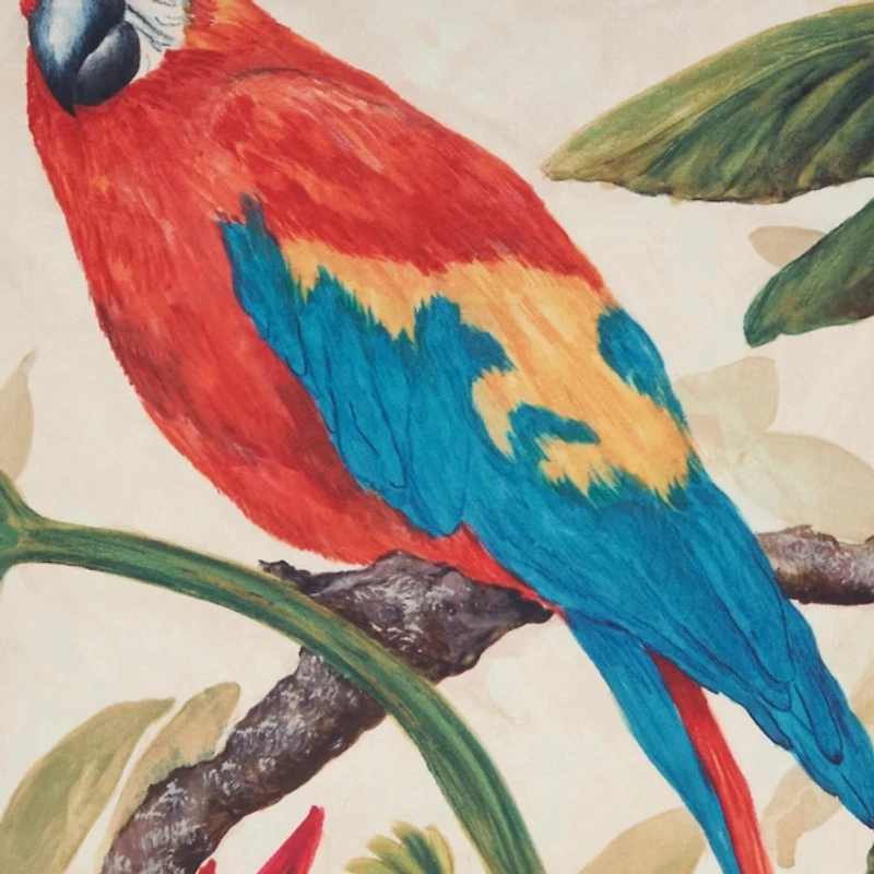 Vibrant Perched Parrot Outdoor Pillow