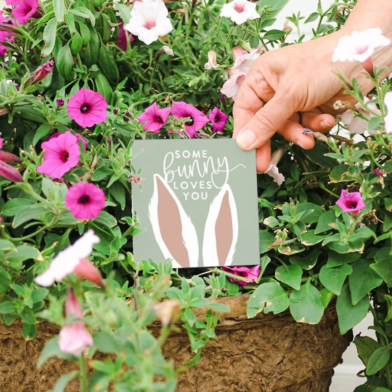 Easter Plant Thought 3-pc. Gift Set