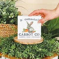 Easter Plant Thought 3-pc. Gift Set