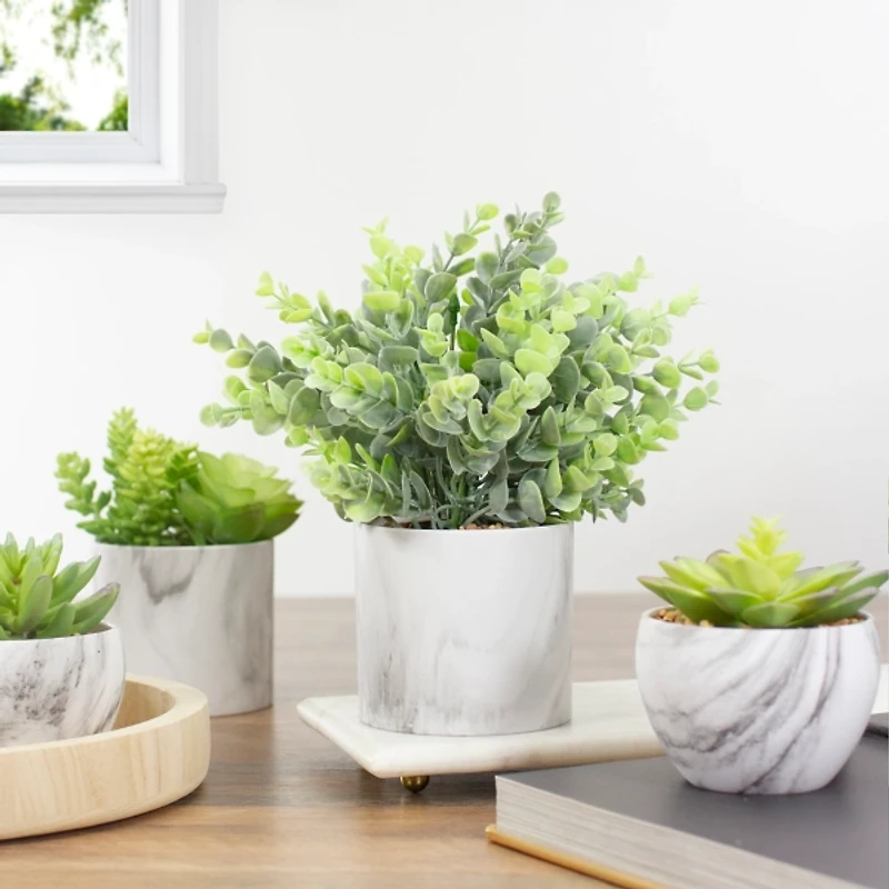 Eucalyptus in Marble Pot