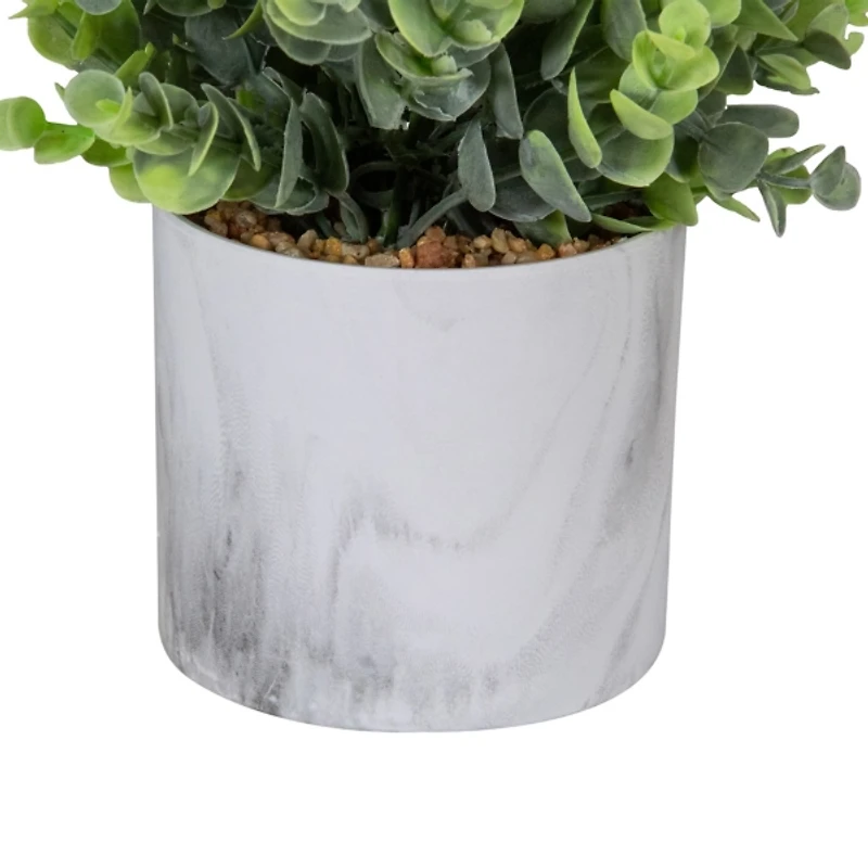 Eucalyptus in Marble Pot