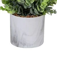 Eucalyptus in Marble Pot