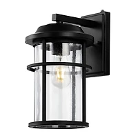 SAFAVIEH Matte Black Cianne Outdoor Wall Sconce