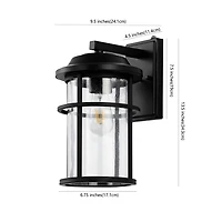 SAFAVIEH Matte Black Cianne Outdoor Wall Sconce