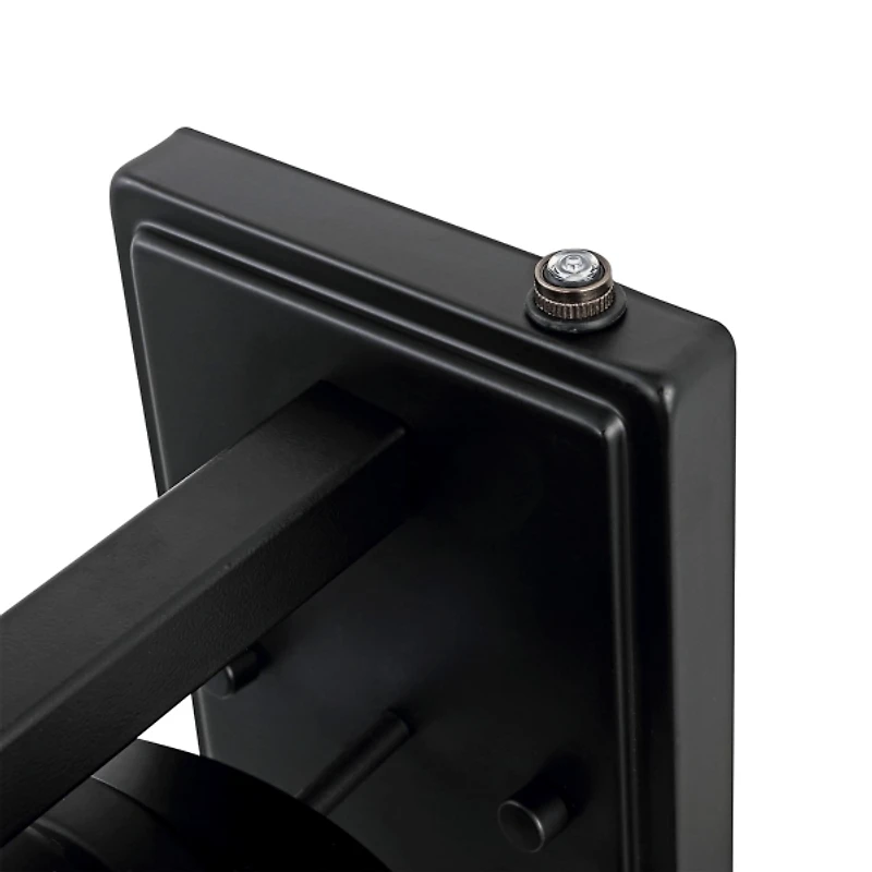 SAFAVIEH Matte Black Cianne Outdoor Wall Sconce