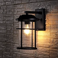 SAFAVIEH Matte Black Cianne Outdoor Wall Sconce