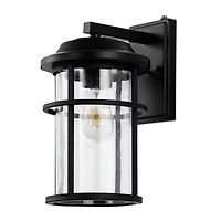 SAFAVIEH Matte Black Cianne Outdoor Wall Sconce